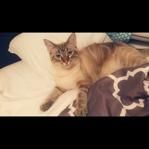 Meet your Posher, Elaine